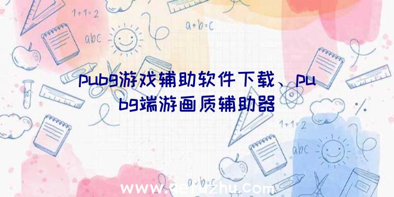 pubg游戏辅助软件下载、pubg端游画质辅助器