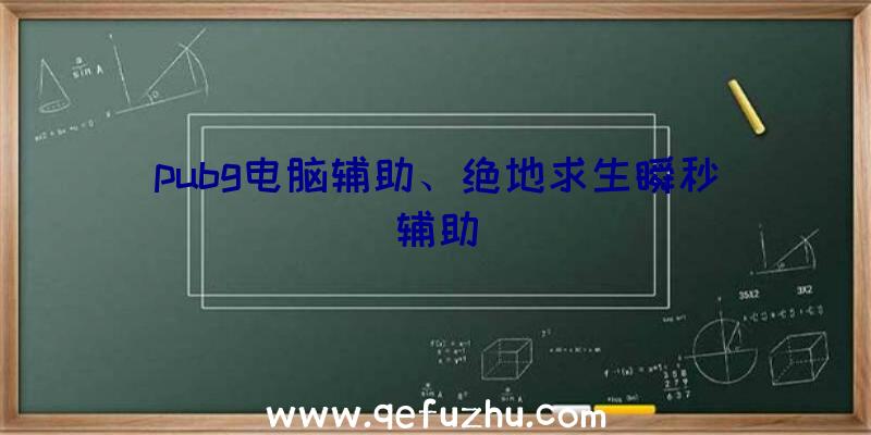 pubg电脑辅助、绝地求生瞬秒辅助