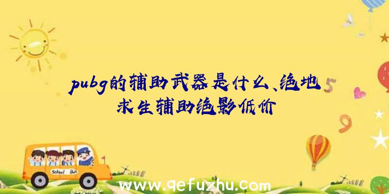 pubg的辅助武器是什么、绝地求生辅助绝影低价