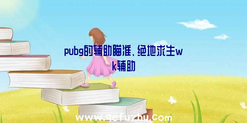 pubg的辅助瞄准、绝地求生wk辅助