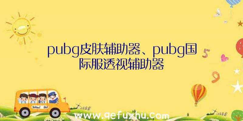 pubg皮肤辅助器、pubg国际服透视辅助器