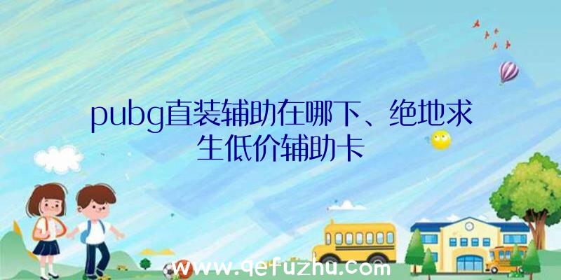 pubg直装辅助在哪下、绝地求生低价辅助卡