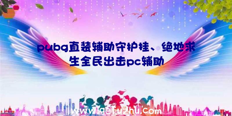 pubg直装辅助守护挂、绝地求生全民出击pc辅助