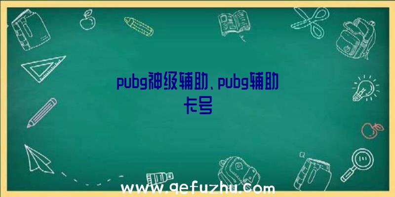 pubg神级辅助、pubg辅助卡号