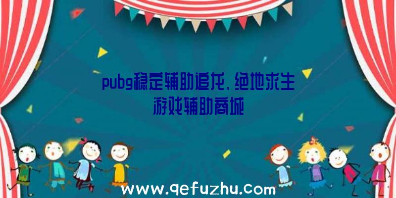 pubg稳定辅助追龙、绝地求生游戏辅助商城