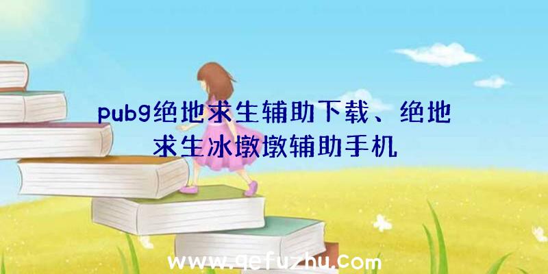 pubg绝地求生辅助下载、绝地求生冰墩墩辅助手机