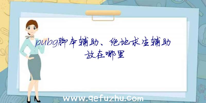 pubg脚本辅助、绝地求生辅助