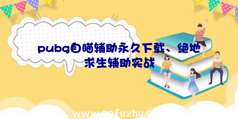 pubg自瞄辅助永久下载、绝地求生辅助实战