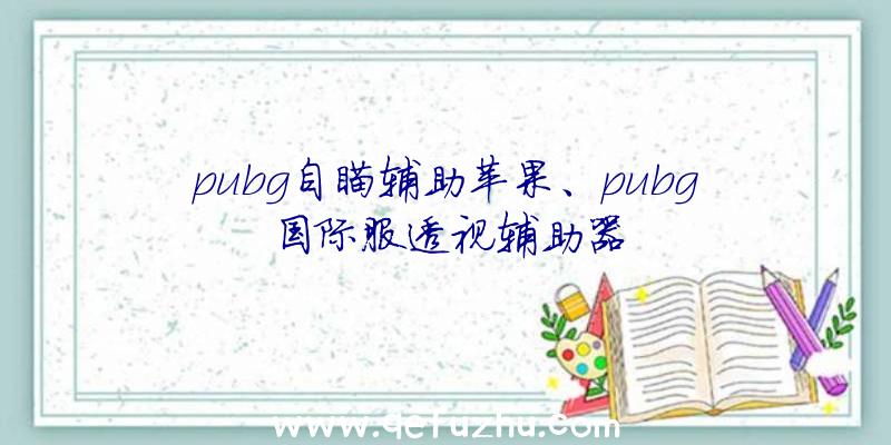 pubg自瞄辅助苹果、pubg国际服透视辅助器