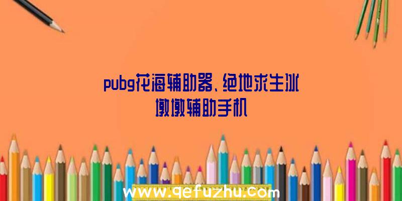 pubg花海辅助器、绝地求生冰墩墩辅助手机