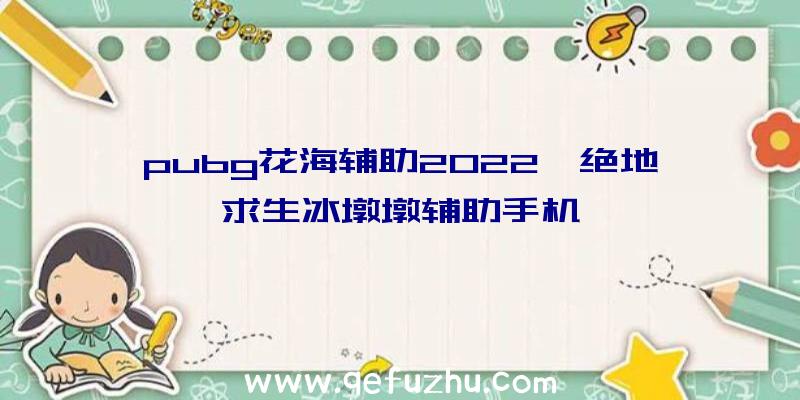 pubg花海辅助2022、绝地求生冰墩墩辅助手机