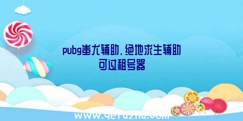 pubg蚩尤辅助、绝地求生辅助可过租号器