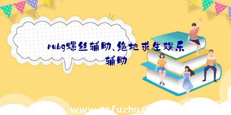 pubg螺丝辅助、绝地求生娱乐辅助