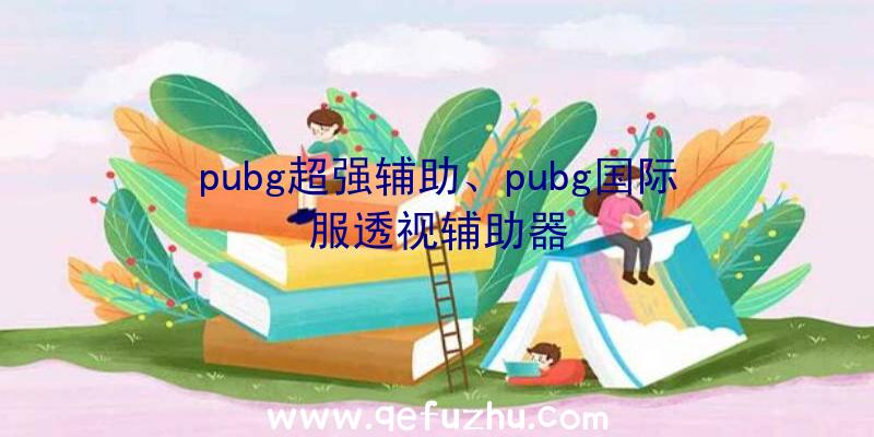 pubg超强辅助、pubg国际服透视辅助器