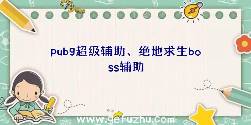 pubg超级辅助、绝地求生boss辅助