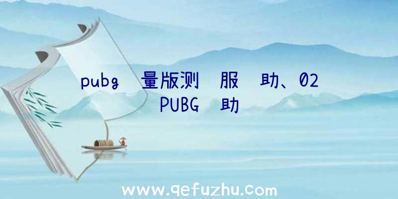 pubg轻量版测试服辅助、02PUBG辅助