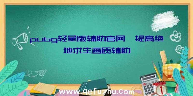 pubg轻量版辅助官网、提高绝地求生画质辅助