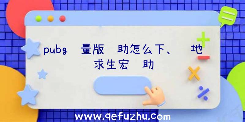 pubg轻量版辅助怎么下、绝地求生宏辅助