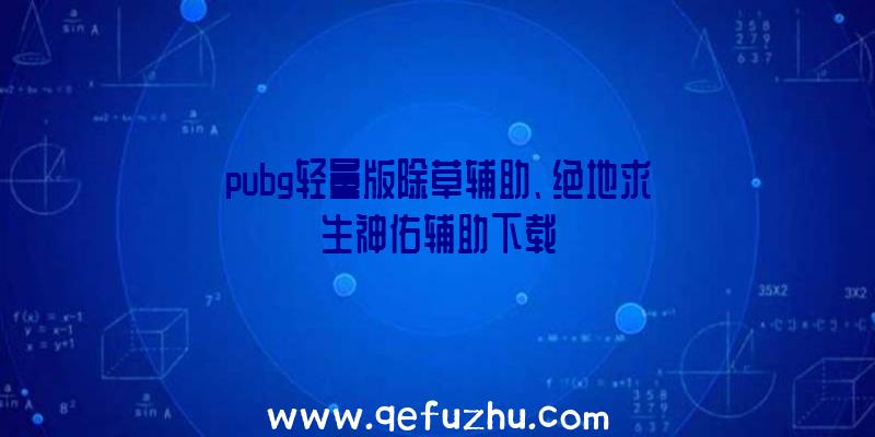 pubg轻量版除草辅助、绝地求生神佑辅助下载