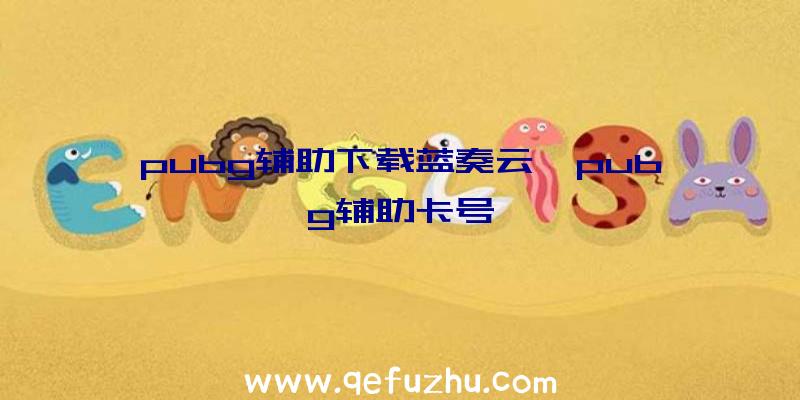 pubg辅助下载蓝奏云、pubg辅助卡号