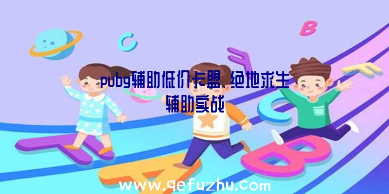 pubg辅助低价卡盟、绝地求生辅助实战