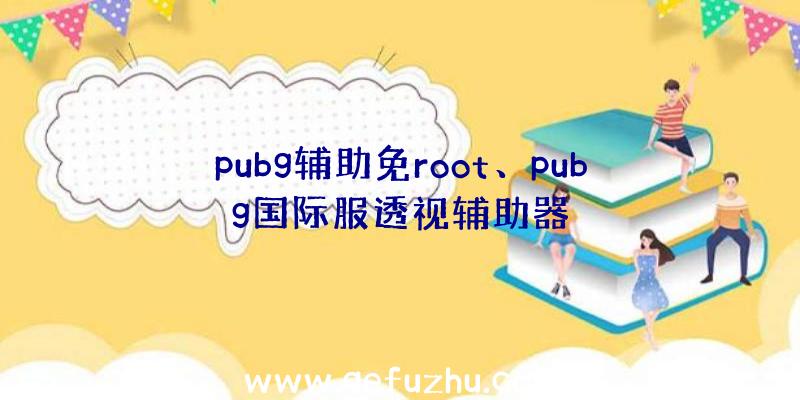 pubg辅助免root、pubg国际服透视辅助器