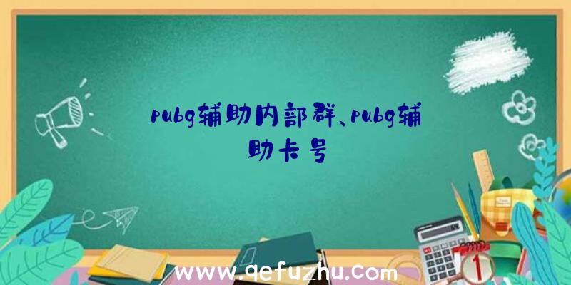 pubg辅助内部群、pubg辅助卡号