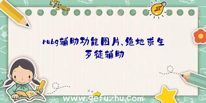 pubg辅助功能图片、绝地求生歹徒辅助