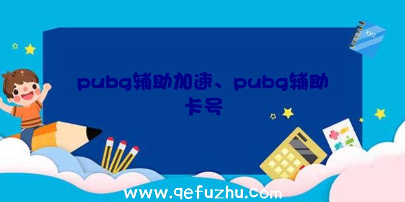 pubg辅助加速、pubg辅助卡号