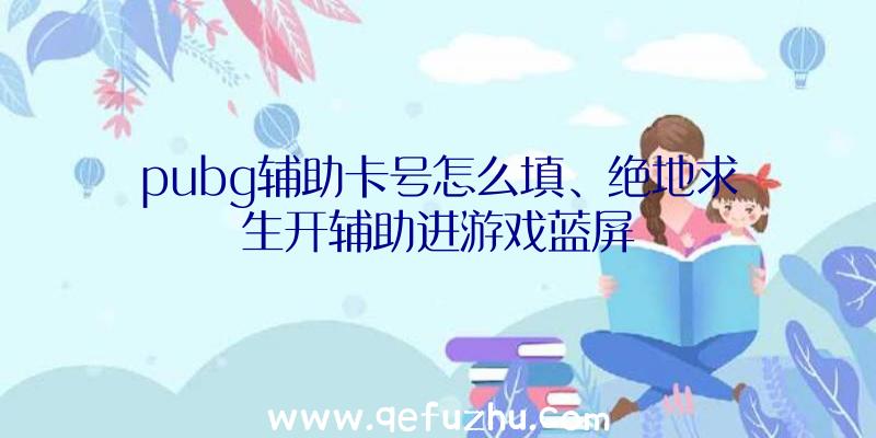 pubg辅助卡号怎么填、绝地求生开辅助进游戏蓝屏