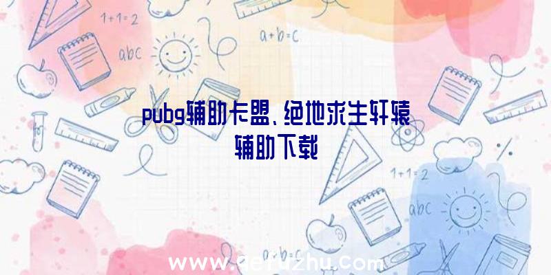 pubg辅助卡盟、绝地求生轩辕辅助下载