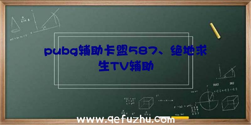 pubg辅助卡盟587、绝地求生TV辅助