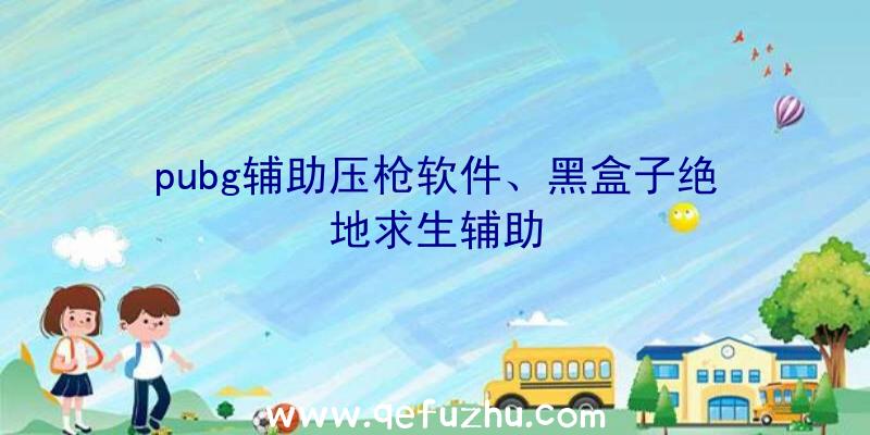 pubg辅助压枪软件、黑盒子绝地求生辅助