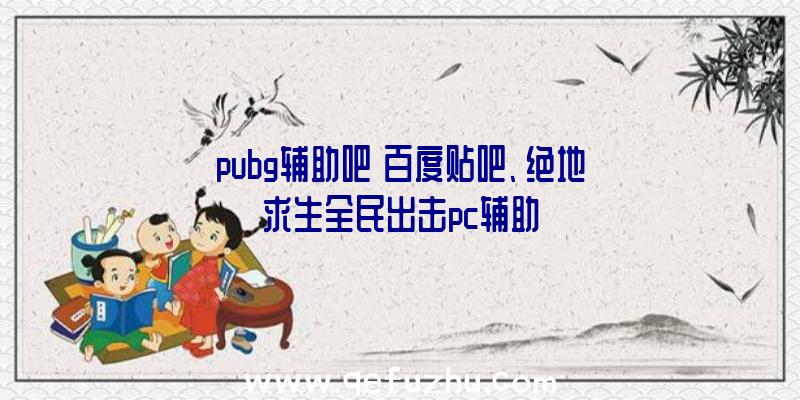 pubg辅助吧