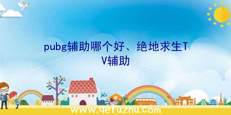 pubg辅助哪个好、绝地求生TV辅助