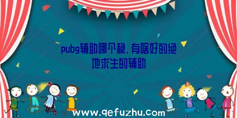 pubg辅助哪个稳、有啥好的绝地求生的辅助