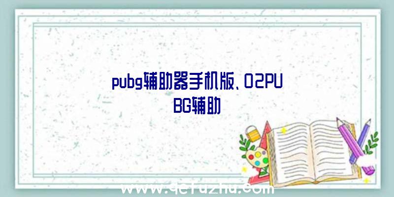 pubg辅助器手机版、02PUBG辅助