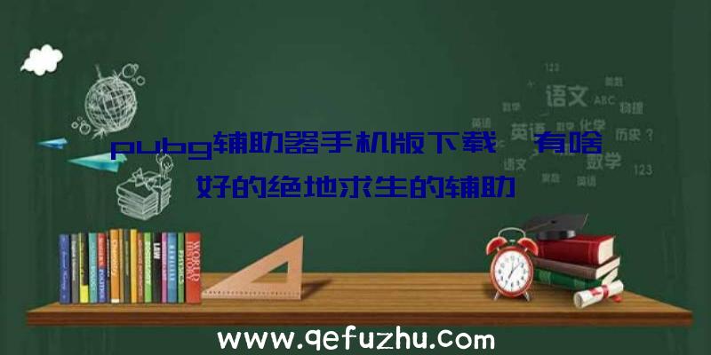 pubg辅助器手机版下载、有啥好的绝地求生的辅助