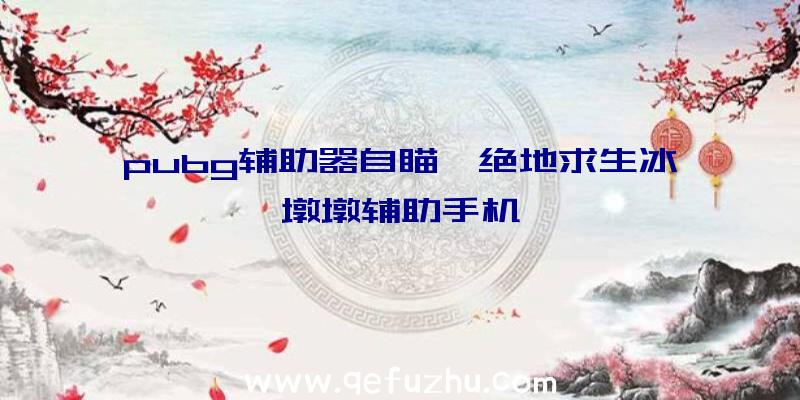 pubg辅助器自瞄、绝地求生冰墩墩辅助手机