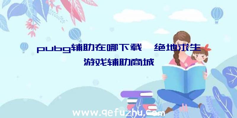 pubg辅助在哪下载、绝地求生游戏辅助商城