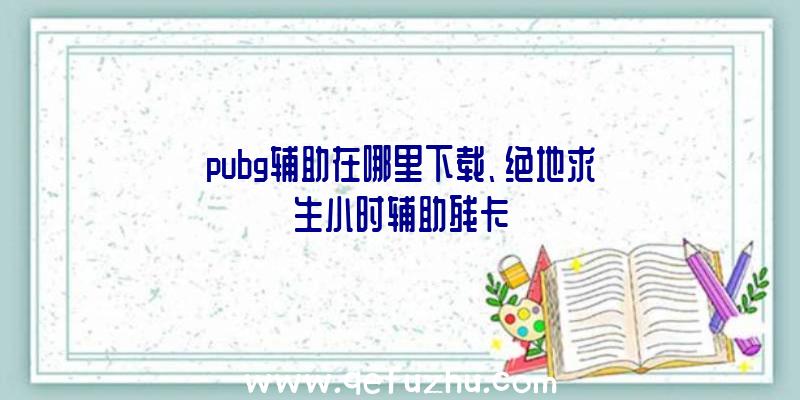 pubg辅助在哪里下载、绝地求生小时辅助残卡