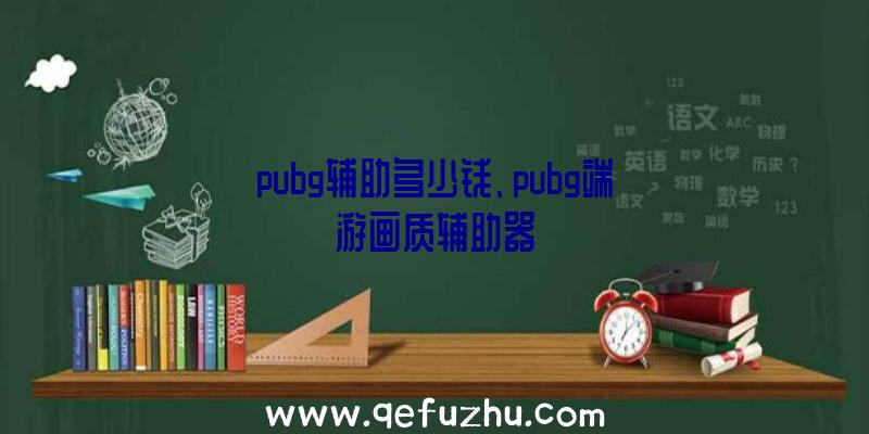 pubg辅助多少钱、pubg端游画质辅助器