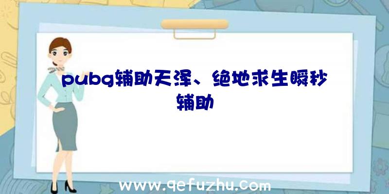 pubg辅助天泽、绝地求生瞬秒辅助