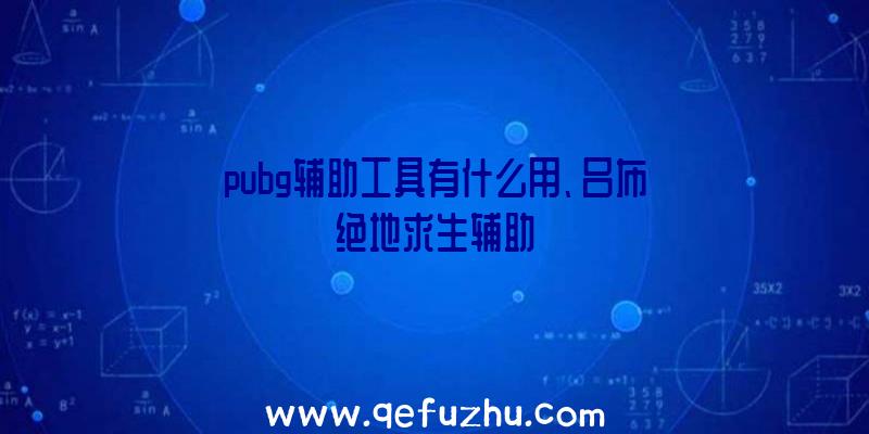 pubg辅助工具有什么用、吕布绝地求生辅助