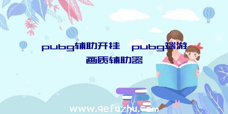 pubg辅助开挂、pubg端游画质辅助器