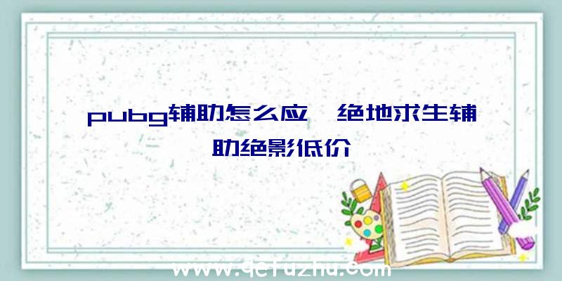 pubg辅助怎么应、绝地求生辅助绝影低价