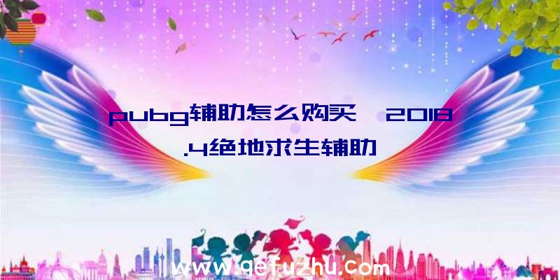 pubg辅助怎么购买、2018.4绝地求生辅助