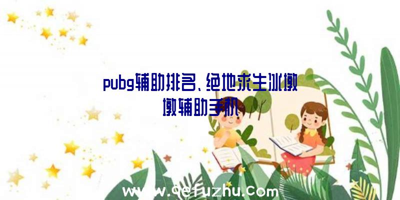 pubg辅助排名、绝地求生冰墩墩辅助手机