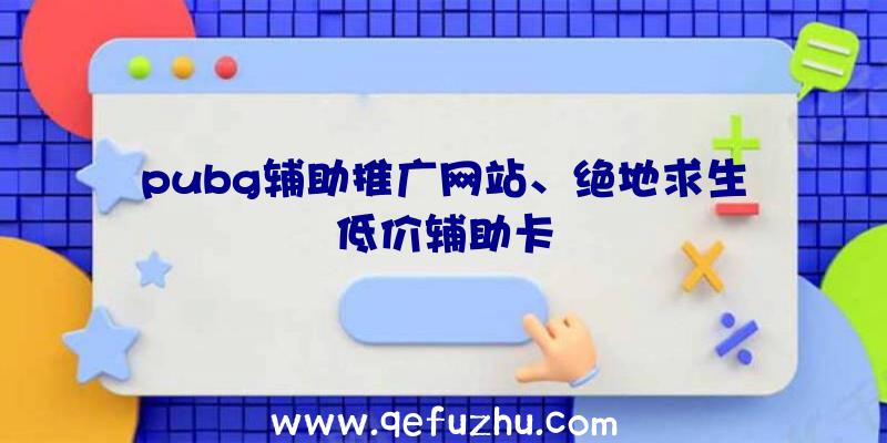 pubg辅助推广网站、绝地求生低价辅助卡