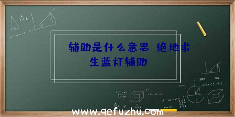 pubg辅助是什么意思、绝地求生蓝灯辅助